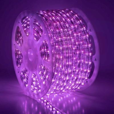 11mm Pembe LED Hortum 24V